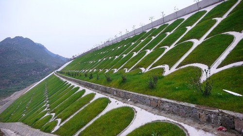 駐馬店噴播植草